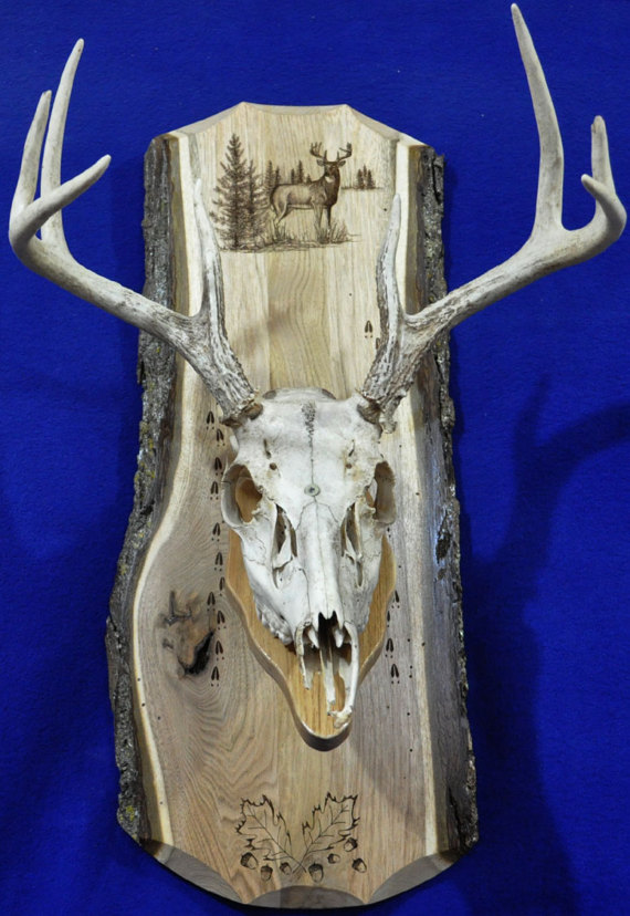 euro mount