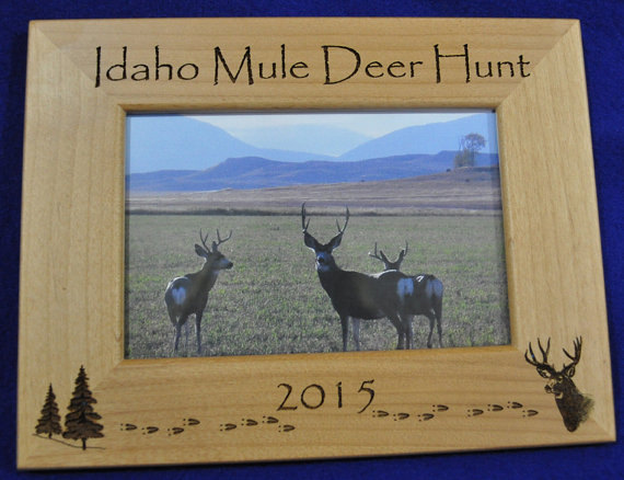 Deer hunting frame