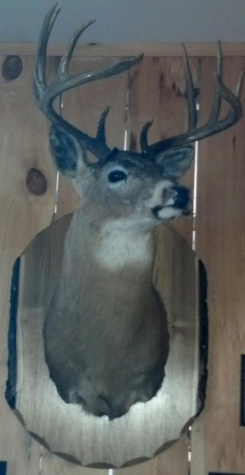 Shoulder Mount Board