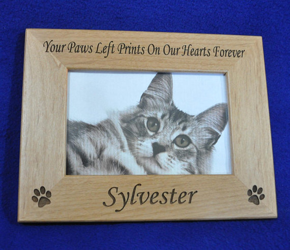 Cat Pet Picture Frame