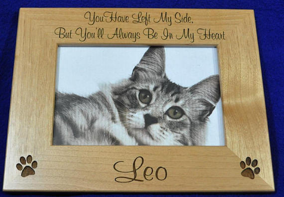 Cat Pet Picture Frame