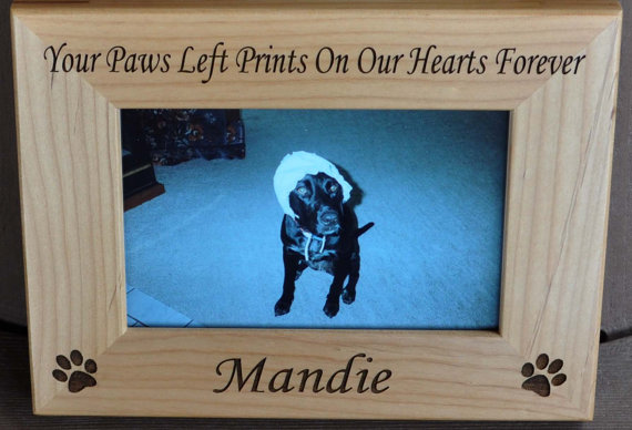 Dog memorial frame