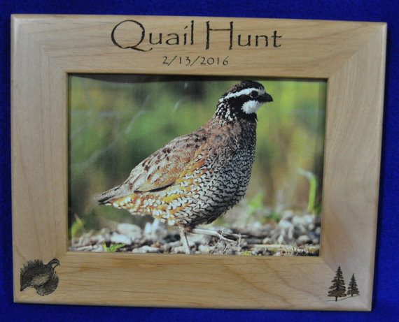quail Hunting